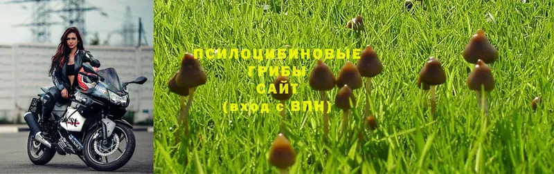 Галлюциногенные грибы Magic Shrooms  мега онион  Ялта 